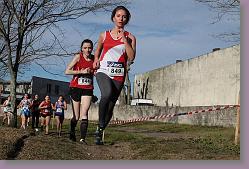 Begles 15.12.13 01 522 * 679 x 453 * (146KB)